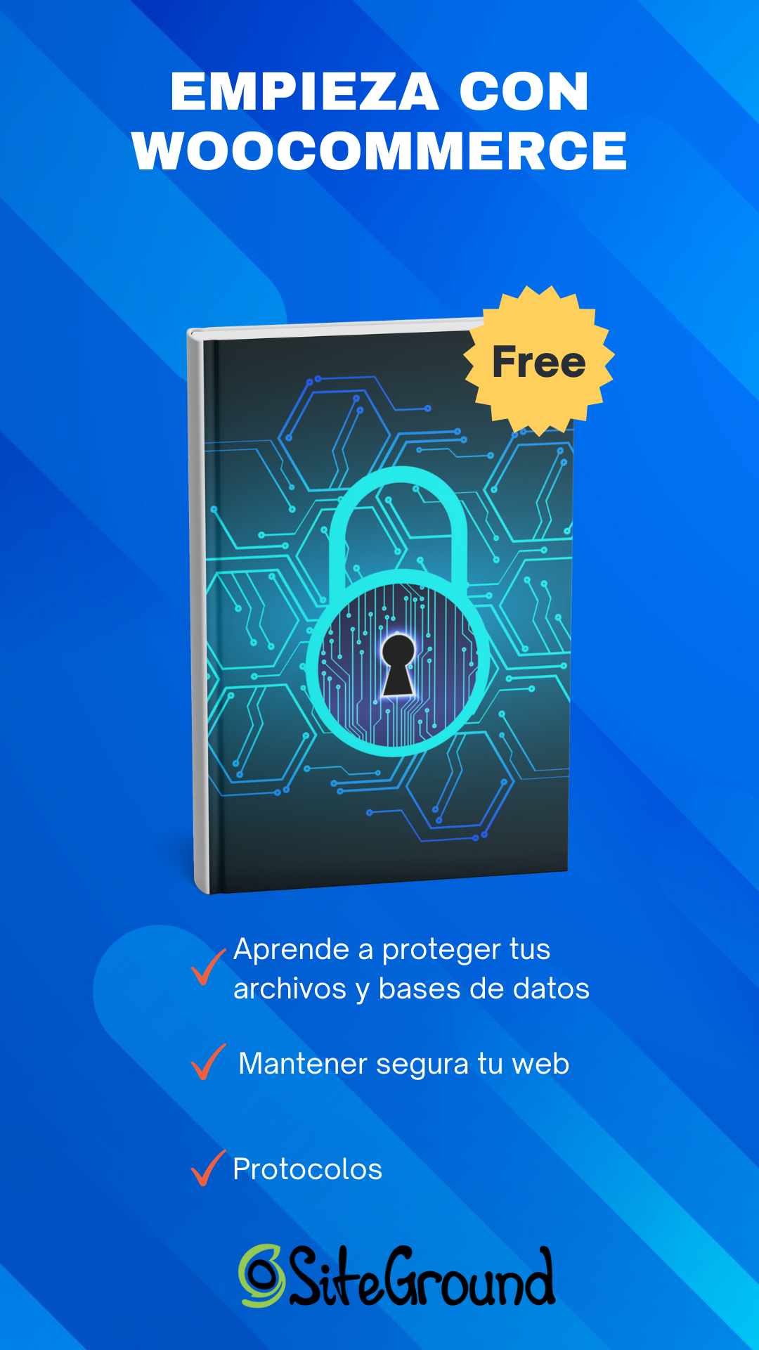 seguridad web